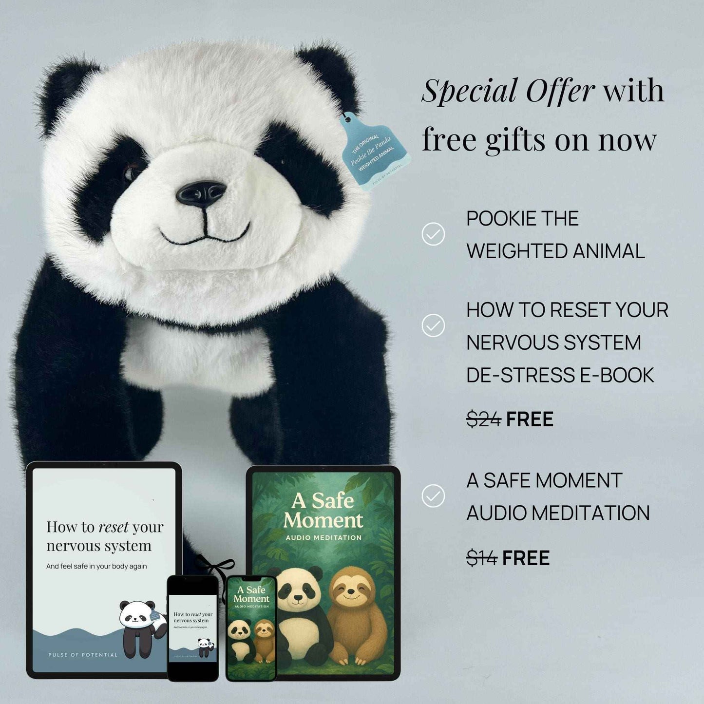 Pookie the Panda Weighted Animal for Valentine's Day
