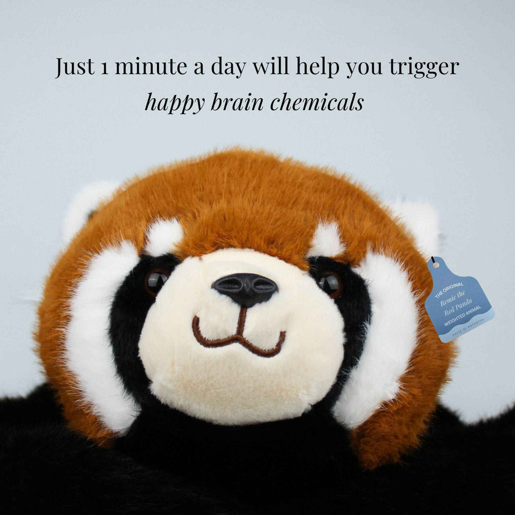 Remie the Red Panda Weighted Animal
