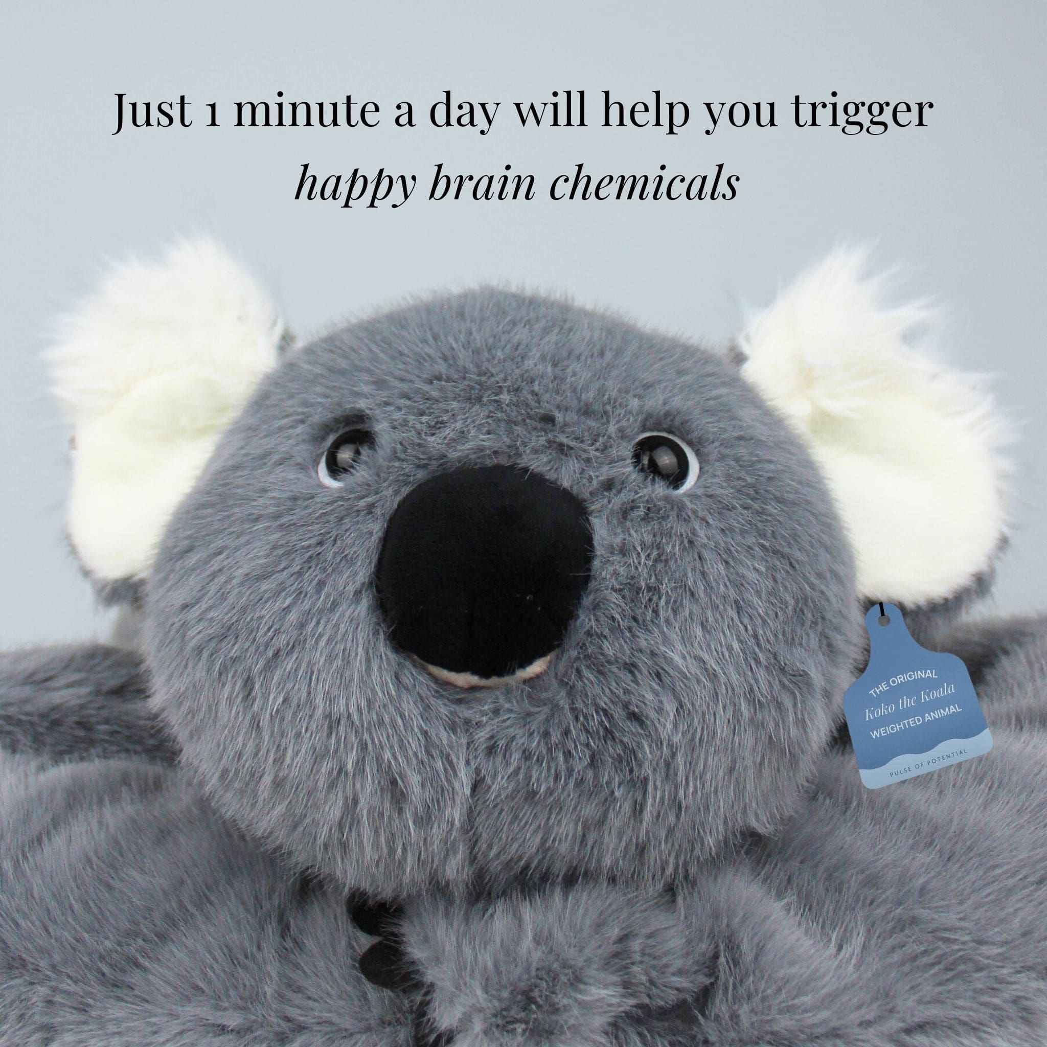 Koko the Koala Weighted Animal