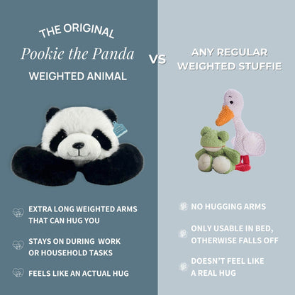 Pookie the Panda Weighted Animal for Valentine's Day