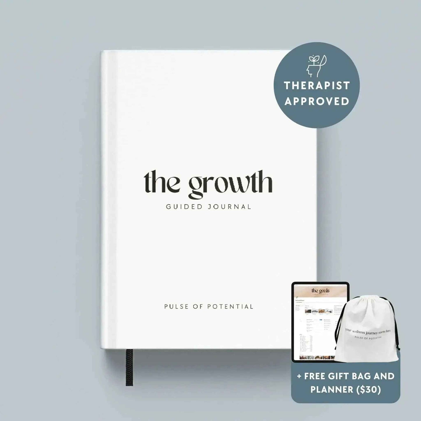 The Men's Growth Guided Journal